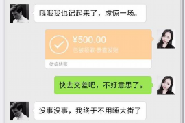 渭南为什么选择专业追讨公司来处理您的债务纠纷？